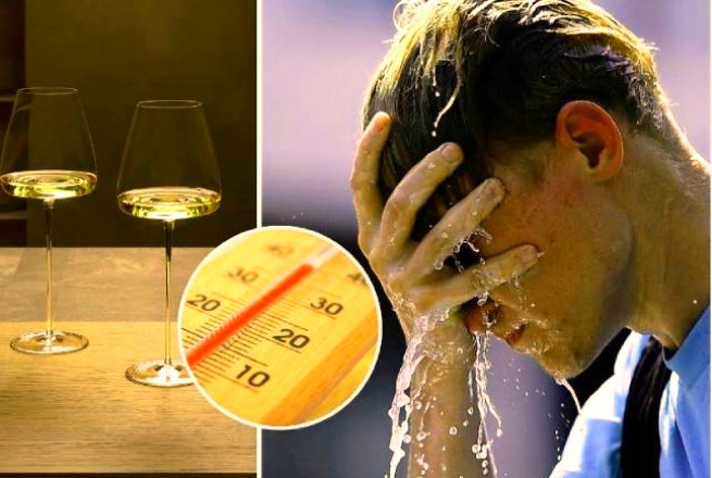 Как алкоголь влияет на организм в жару
