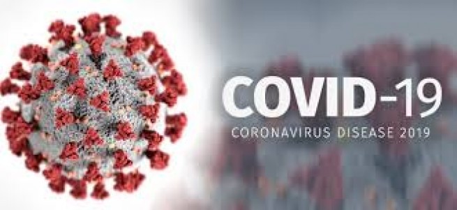 Разоблачение коронавируса