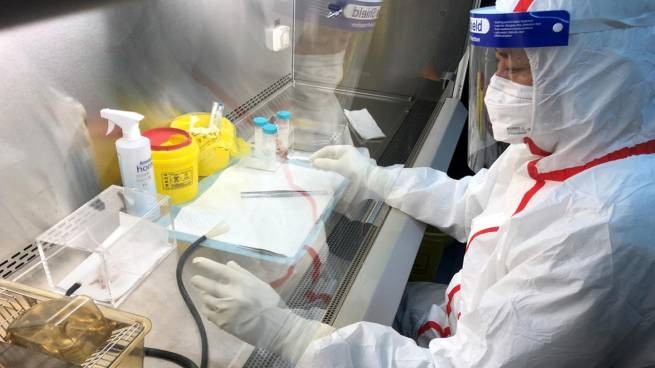 Китай отрицает «лабораторную утечку» коронавируса