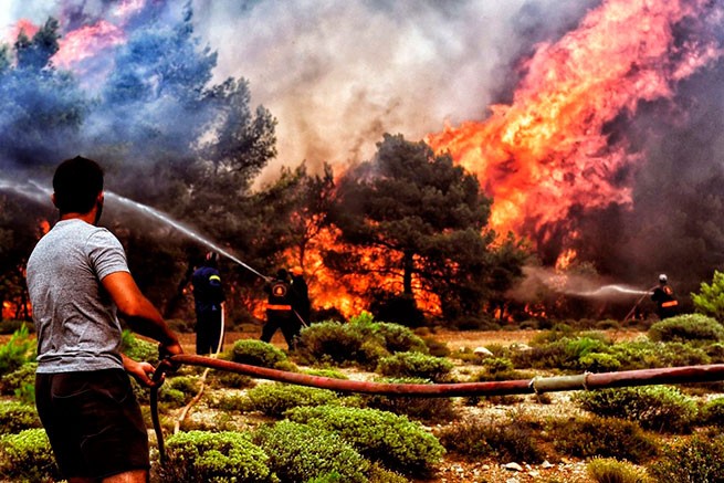 Власти предупредили об оранжевом уровне риска лесных пожаров