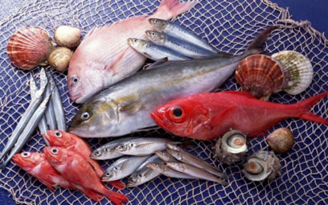 Невероятно: греки потребляют 66% импортной рыбы!