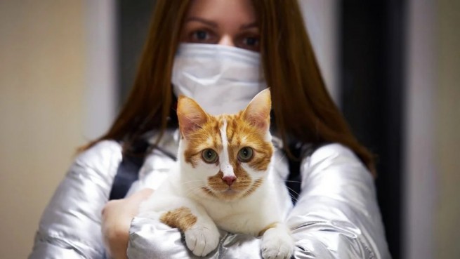 Первая в мире вакцина против ковида для животных разработана в России