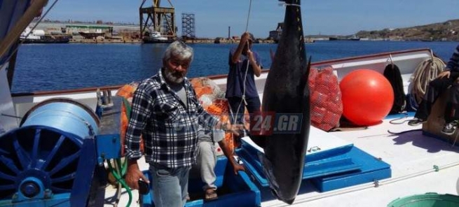 Рыбак «выудил» двух тунцов, весом 470 килограммов