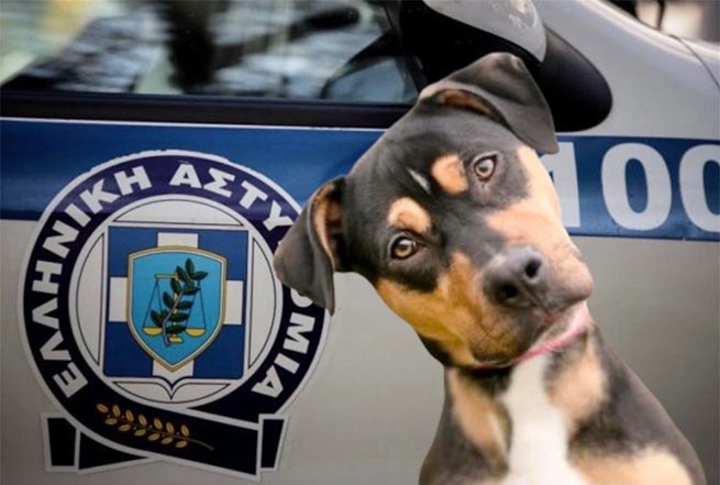Полиция Греции, отдел защиты животных (Τμήμα Προστασίας Ζώων)