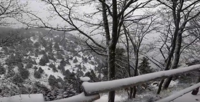 Снег в Аттике, остановлено движение на проспекте Парнитос