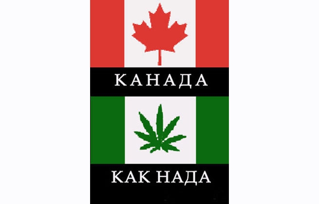 Законы канады о марихуане как выращивать семена конопли