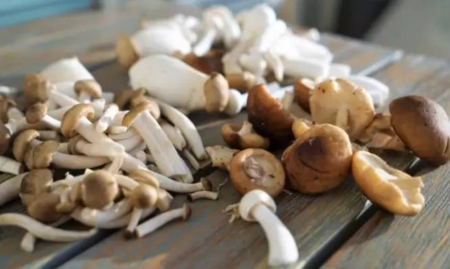 9 главных преимуществ грибов: это лучший superfood