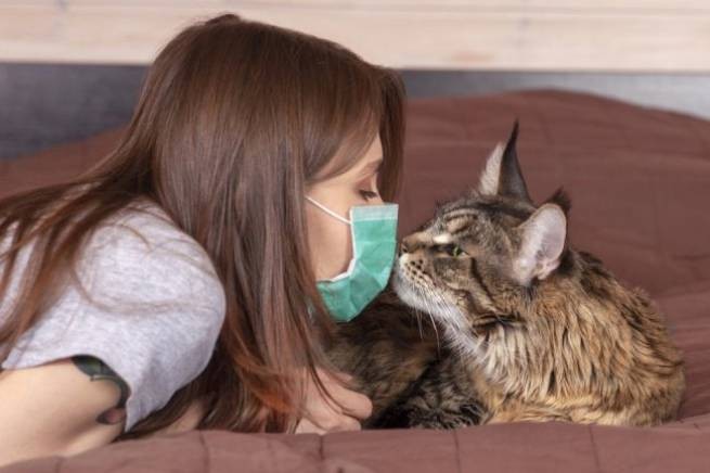 Коронавирус у кошек и собак - итоги масштабных исследований
