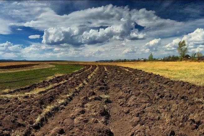 ЕСПЧ обязал Украину отменить мораторий на продажу земли