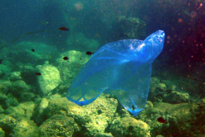 Экологический налог на все пластиковые пакеты, без каких-либо исключений
