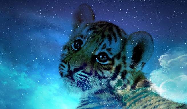 Знакомьтесь: голубой водяной тигр