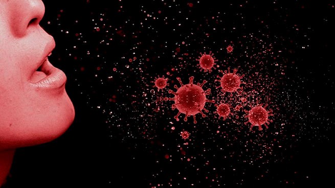 Загадка «тихих разносчиков» коронавируса