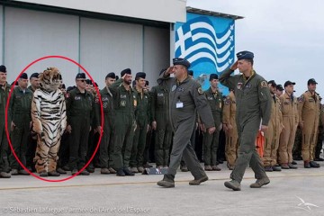 На Араксосе в Греции проходят учения НАТО «Встреча тигров 2022» (видео)