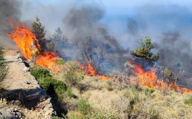Масштабный пожар на Хиосе - огонь подошел к деревне Катаваси