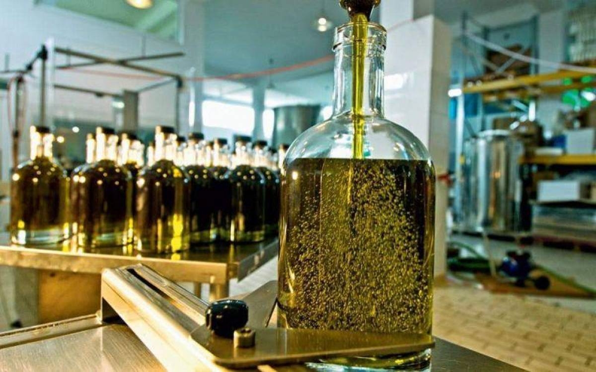 Производство оливкового масла. Производство оливок. Заводы по производству оливкового масла. Оливковое производство.