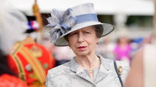 74-летняя британская принцесса Анна попала в больницу с сотрясением мозга