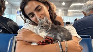 Спецес: спасенный туристкой котенок стал "звездой"