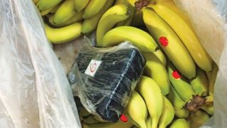 Кокаиновые бананы: безхозный груз